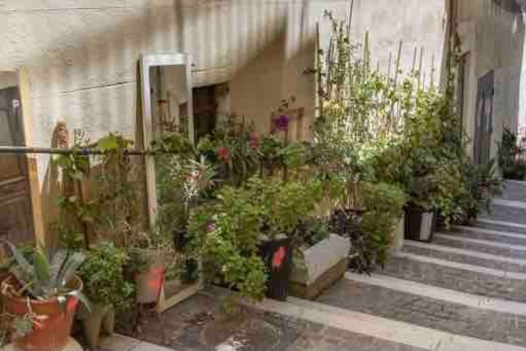 Apartment Superbe Decore Quartier Joliette Marseille
